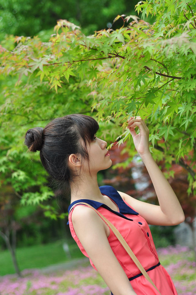 麻花豆传